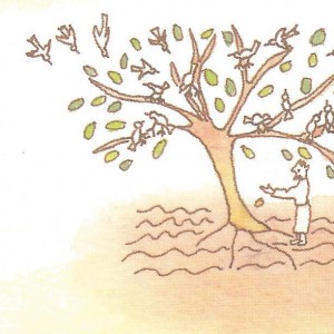 Parabole de la graine