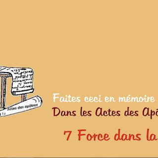 7 Force
