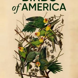 Birds of America