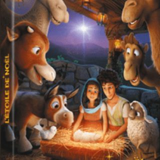 Étoile de Noël