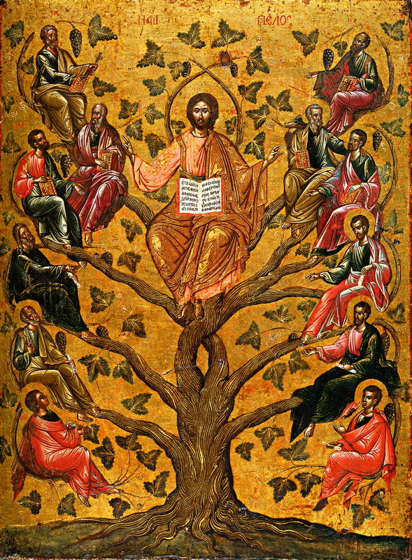 Christ vrai vigne