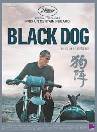 Black dog